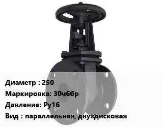 Задвижка чугунная канализационная 250 30ч6бр Ру16 параллельная, двухдисковая